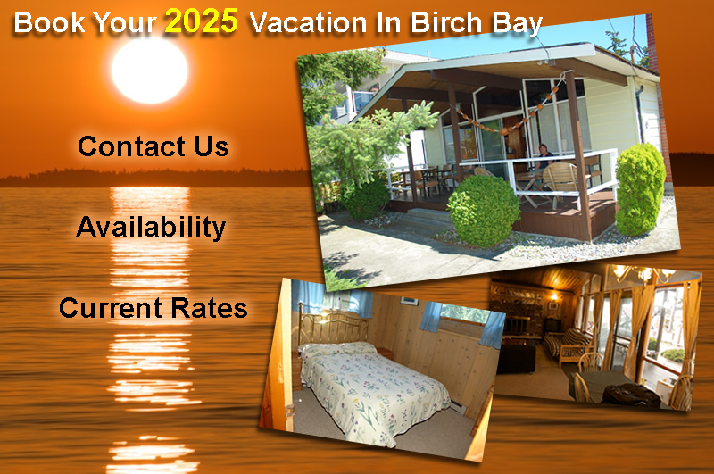 Birch Bay Cabin